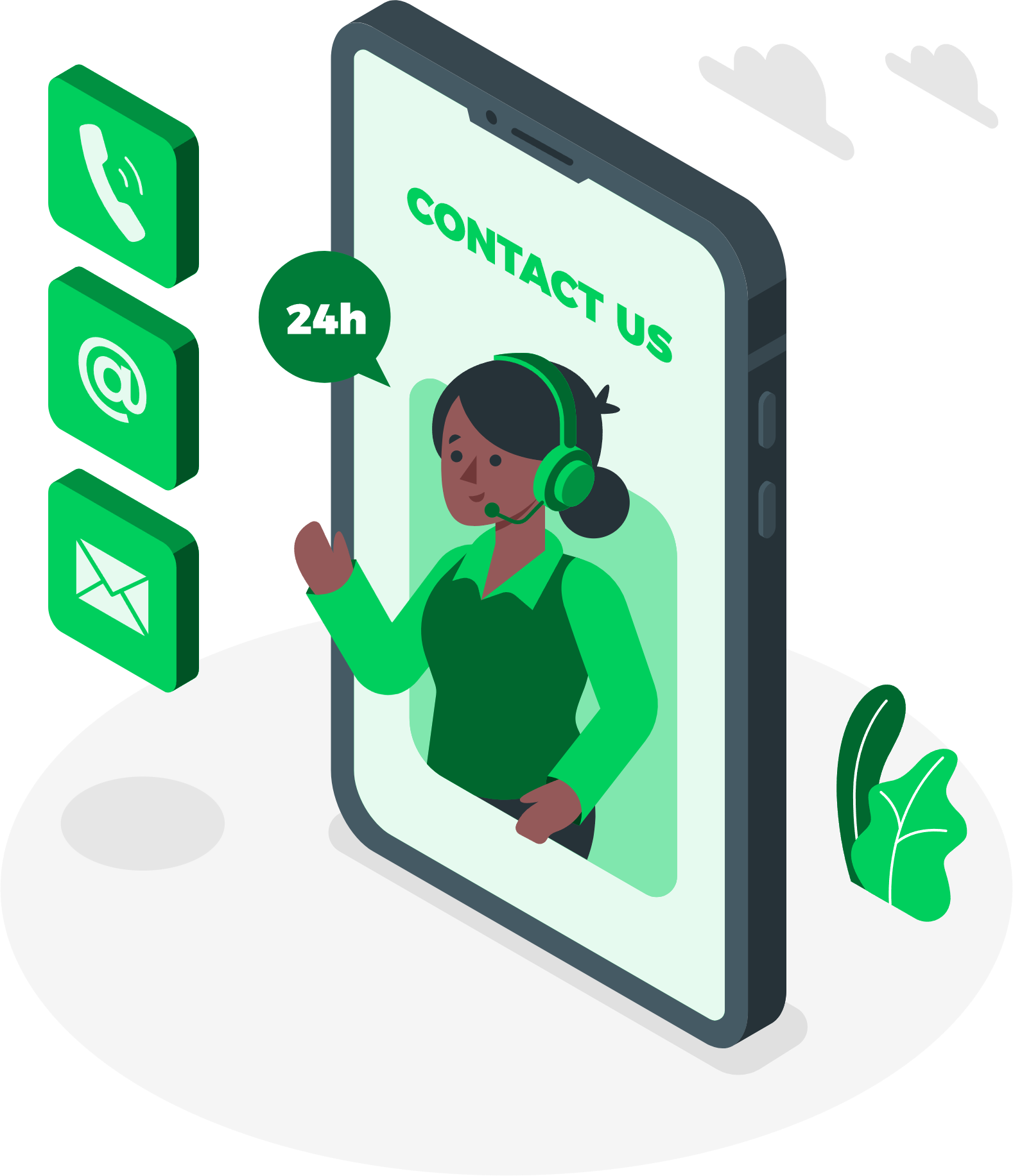 Contact expert wordpress developer